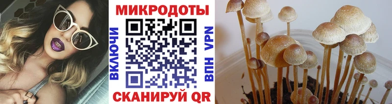 Купить закладки  Новоалександровск  Галлюциногенные грибы мицелий 